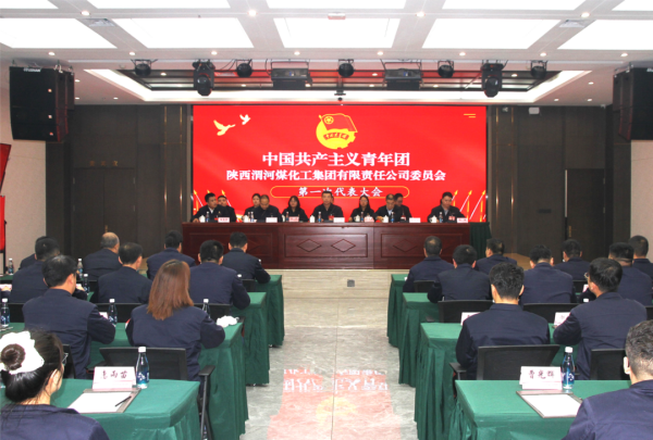 共青團(tuán)渭化集團(tuán)公司委員會第一次代表大會勝利召開